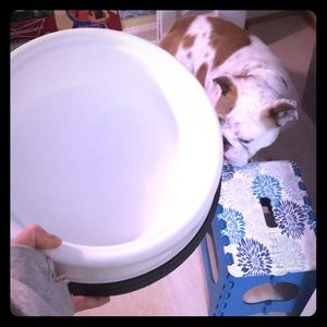 Large dog food bowl
